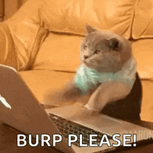 a cat is sitting in front of a laptop computer with the words `` burp please '' written on the screen .