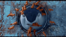 a group of fish are swimming around a shark 's head