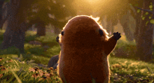 a squirrel is looking at the sun in a forest