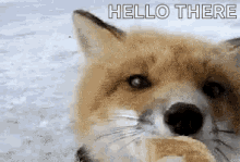Kp0 Hello There GIF - Kp0 Hello There Eating GIFs