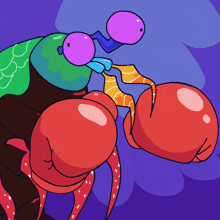 Mantis Shrimp GIF - Mantis Shrimp Fishballerz GIFs