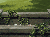 a person 's hand is sticking out of a wooden railing