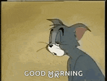 a cartoon cat with a sad look on his face is saying `` good morning '' .