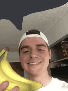 Bananapegasus Nerd GIF