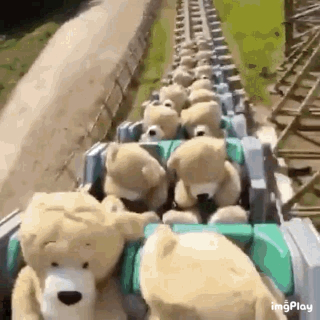 Rollercoaster Ride GIF Rollercoaster Ride Toy Discover Share GIFs