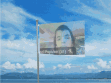 a flag on a pole in front of a body of water with mountains in the background