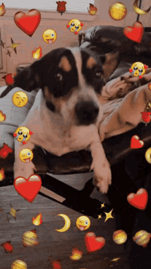 Snapchat Puppy GIF - Snapchat Puppy Emoji GIFs