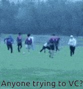 Southern Frisbee GIF - Southern Frisbee Concussion GIFs