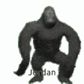 Jordan Kooko GIF - Jordan Kooko GIFs