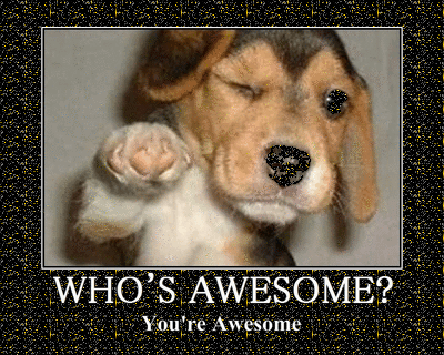 Who is awesome ??