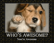 Cherryfurby Whos Awesome Youre Awesome GIF