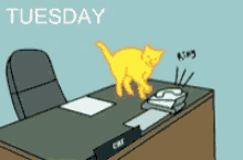Tuesday Cat GIF - Tuesday Cat Are You In GIFs