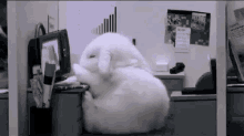 Ugh Sleep GIF - Tired Bunny Sleepy GIFs