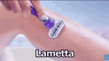 Lametta Rasoio Depilarsi Pubblicita GIF - Razor Blade Razor Shaving GIFs