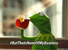 kermit the frog drinking a cup of tea with the hashtag but thats none of my business