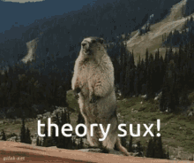 Theory Sucks Theory Sux GIF - Theory Sucks Theory Sux Theory GIFs
