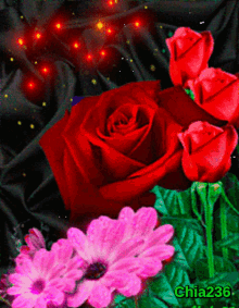 For You Rose GIF