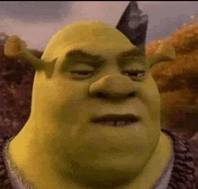 shrek from shrek is looking at the camera with his eyes closed and his mouth open .