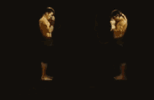 Tony Jaa Demonstrates GIF - Tony Jaa Kick Martial Arts GIFs