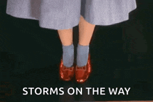 shoes dorothy red slippers wizard of oz