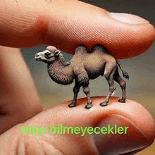 a person is holding a small camel statue on their finger .
