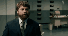 Middle Finger GIF - Middle Finger Zach Galifanakis Visioneers GIFs