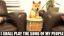 I Shall Play The Song Of My People Dog GIF - I Shall Play The Song Of My People Dog GIFs