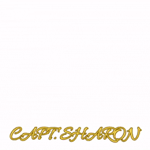 Captsharon Captsharonss GIF - Captsharon Captsharonss GIFs