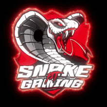 Snake Pit Gaming Discord Spg GIF - Snake Pit Gaming Discord Spg Eye Bolz GIFs