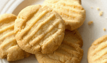 Biscuit Funny GIF - Biscuit Funny Nice Biscuits GIFs