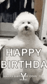 a small white dog is sitting on the floor and says `` happy birthday '' .