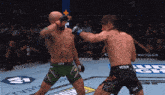 two men are fighting in a ufc ring