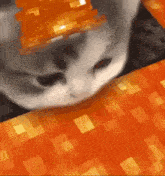 Cat Meme GIF - Cat Meme Iconic GIFs