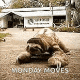 a sloth is laying on the ground in front of a building and a sign that says monday moves .