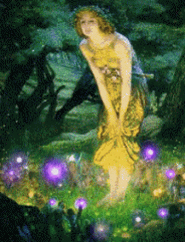 Fairy Forest GIF - Fairy Forest Magical - Discover & Share GIFs