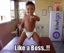 Like A Boss Kiwigo GIF - Like A Boss Kiwigo Baby Dance GIFs