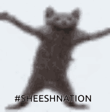 Sheeshnation Guami GIF - Sheeshnation Sheesh Guami GIFs