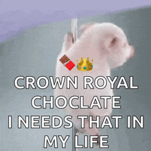 a picture of a pig with a crown and a bar of chocolate with the words crown royal choclate i needs that in my life
