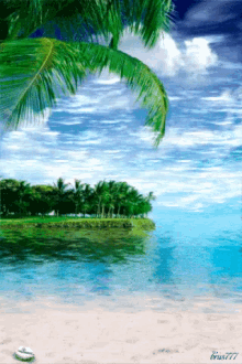 Tropical Sea GIF - Tropical Sea Coconut GIFs
