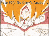 Goku Grey'S Anatomy GIF - Goku Grey'S Anatomy Rules GIFs