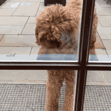 Dog Scared Dog GIF - Dog Scared Dog Subslimer Dog GIFs