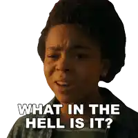 a sticker of a young boy with a serious look on his face says what in the hell is it