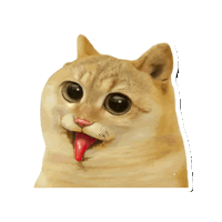 Catcoin Crypto Sticker - Catcoin Crypto Cat Memes Stickers