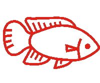 Aqua Fish Sticker