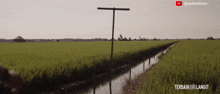 a video of a rice field with the caption " terbaik hari langit " on the bottom