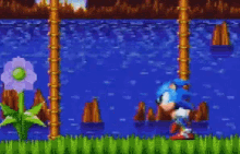 Mania Sonic GIF - Mania Sonic GIFs