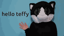 Teffy Hello Teffy GIF - Teffy Hello Teffy Hi GIFs