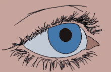 Eye Roll Animated GIF