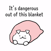 funny blanket