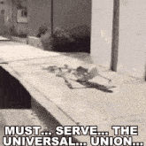 Must Serve The Union GIF - Must Serve The Union GIFs